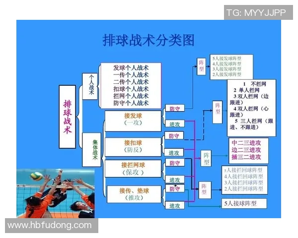 广州排球队的战术控制与球队发展分析探讨 广州排球队的战术控制与球队发展分析探讨