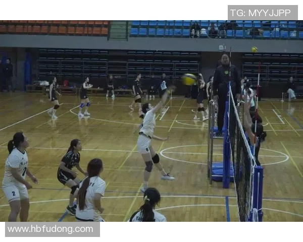 杭州排球队团队协作的创新与变革引发热议