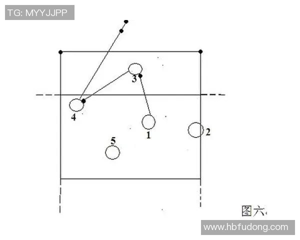 成都排球队战术表现深度分析与数据解读探讨