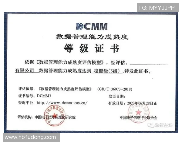 深入探讨上海网球队成员个人能力表现的全面数据分析与评估