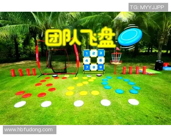 飞盘热潮下的杭州飞盘队转型之路与未来展望